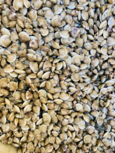 baby clams