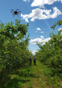 Two men talking in the middle of an apple orchard row, with trees on either side. A drone flies overhead.