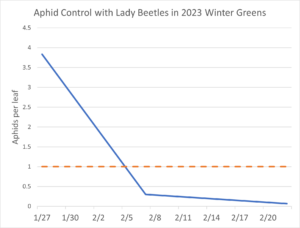 line graph showing aphids per leaf from January 27 to February 20 2023