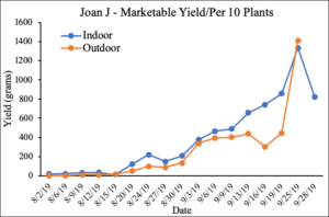 Graphs depicting raspberry marketable yield (g/10 plants) over growing season, individual charts by variety comparing indoor and outdoor production