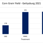 Graph showing corn grain yield at the Gettysburg site in 2021