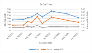 Scheffler compaction ratio data from April through November 2020.