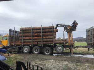 Log Load of Hemlock