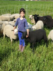 June 4, Granddaughter Addie with Lambs on Pasture