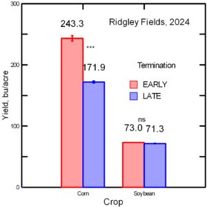 Corn and soybean yields as affected by cover crop termination timing on Lewis farm in 2024.