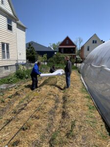 A group of 3 people setting up row cover on an urban farm