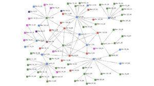 Network sociogram image that illustrates shared connections between different respondents