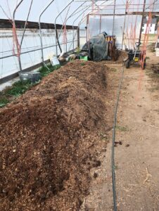Windrow of Composted Manure