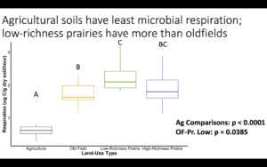 Graph showing agricultural soils in our study have the least amount of microbial respiration when compared to soils from oldfields, low-richness prairies, and high-richness prairies. Low-richness prairies also have slightly higher respiration than oldfields.