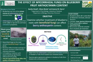 Poster presented at NOFA-VT winter conference in 2023