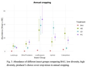 plot showing mean abundances of insect taxa in cover crop and BAU treatments