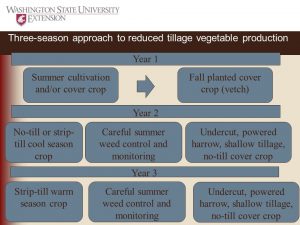 Figure 18a. A possible 3 year rotation to reduce tillage in organic vegetable production for cool-season and warm-season crops