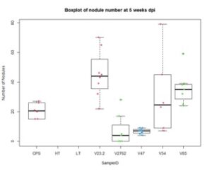 Boxplot of nodule number by rhizobia species in early vegetative growth