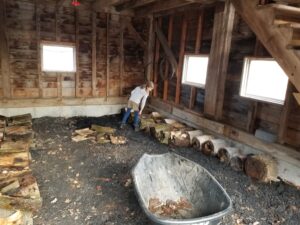 Nora Adding Bark to IDLS Barn