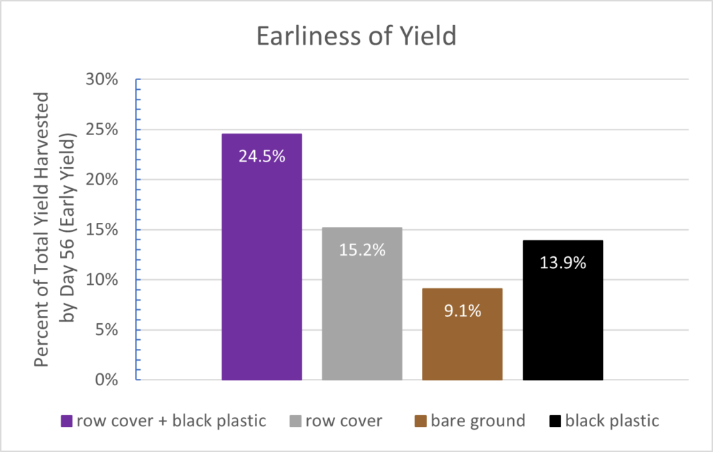 A chart with percents on the vertical axis and season extension treatment on the horizontal axis. The purple bar for row cover + plastic is the highest. The second bar is gray (row cover alone) and is about as tall as the fourth bar, which is black (plastic mulch alone). The brown bar is bare ground and is shortest.