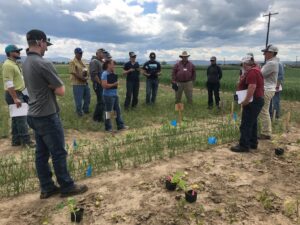 shows participant engagement in IPM workshop