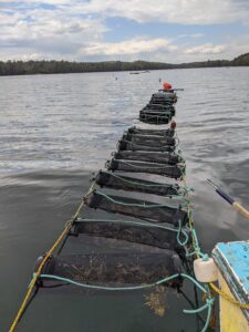 Floating tube type bags