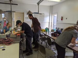 Participants practice earthworm identification 