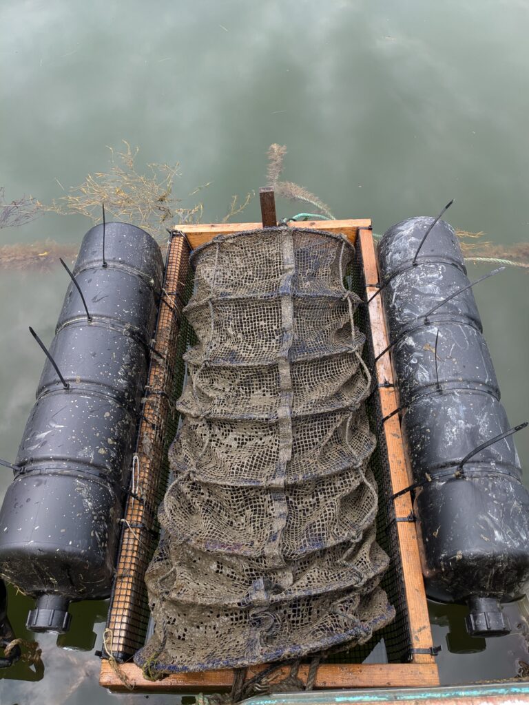 raft used for drying nets