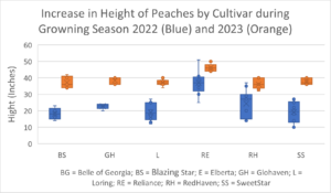 Peach Terminal Growth in 2022 and 2023