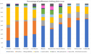 Percentage of pollinators visiting plants 2019 