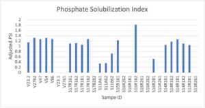 Phosphate solubilization index of rhizobial isolates stored incubated for 7 days using 100ul, 0.6 OD600 spot plating. PSI value = (Colony diameter + Halo-zone diameter)/Colony diameter. Value of 1 would mean showing no halo-zone solubilization, and was subtracted from each value for clarity.