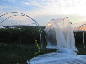 Frame for 60 gram netting