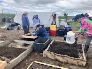 Several people work in a garden