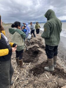 Workshop attendees gather around a heap of organic matter on the beach, some with shovels. 