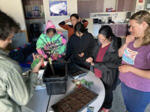 Several workshop participants gather around a table with a seedling tray and worm bin on it.