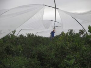 Joining netting overhead