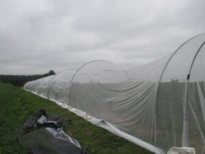 Edge attached to purlin on the ground and anchored with rock bags