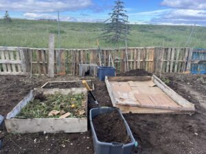 Two rectangular garden beds, one with carboard and one with a layer of food scraps.