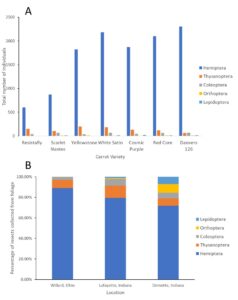 Pest orders of carrots across variety and location