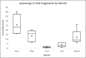 Lacewing abundance throughout the season in Oak habitats