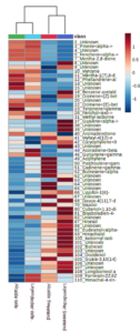 Figure 4. Heatmap of 50 most abundant compounds in steam distillation extracts from hemp grown under standard conditions at two locations, in order of elution (generated as single factor design because no significance was detected between factors with two-way ANOVA) 