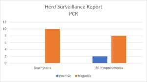 Collective Herd Surveillance Report - PCR