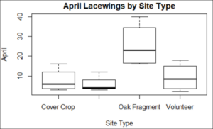 Lacewing abundance in different site types in April
