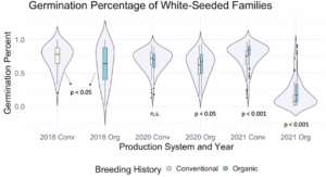 A violin plot is shown with bar plots within each violin, showing the overall annual germination percentage of white-seeded bean families, and distribution according to breeding history.