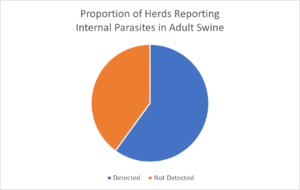 Adult Swine Internal Parasites