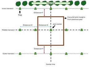 Plot diagram