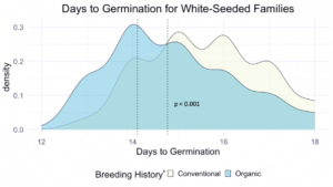 Plot showing days to germination for all white-seeded families, and differences according to breeding history.