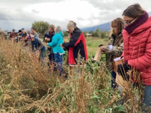 farmer field days