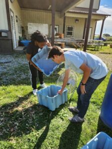 Students in the Small Farms Experience course learn to winnow during lab.