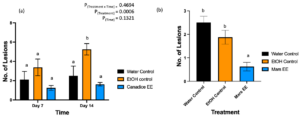 Figure 9. Bar graphs represent the effect of antifungal activity of Mars and Canadice senescent leaf extracts on the (a) number of lesions formed after being challenged with B. cinerea on Canadice leaves in an in planta assay. Water control (black bar), ethanol control (orange bar), and Canadice ethanolic extract (blue bar). Values shown are mean ± SE (n=8). Given significant treatment effect (P = 0.0006), simple effects were analyzed by one way ANOVA for each day (day 4 and 7) separately with Tukey multiple comparison, P < 0.05); different letters indicate significant differences.  (b) number of lesions formed after challenged with B. cinerea on Mars leaves in detached leaf assay on day 7. Values shown are mean ± SE (n=8). (one-way ANOVA, Tukey multiple comparison, P < 0.05). Water control (black bar), ethanol control (orange bar), and Mars ethanolic extract (blue bar). Different letters indicate significant differences. EE is ethanolic extract.