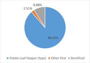 Pie chart of counted insects