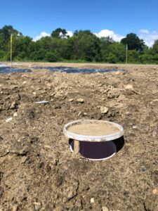 A buried cup in the soil, representing a pitfall trap, which is used to collect arthropods.