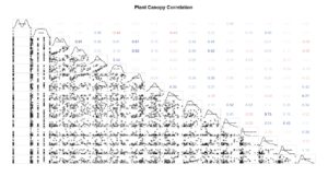 plant canopy correlation
