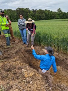 Photo pf soil pit investigation of cover crop - soil interactions.