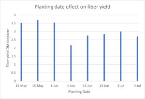 Planting date effect on fiber yield